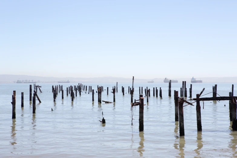 a group of wooden posts in the water