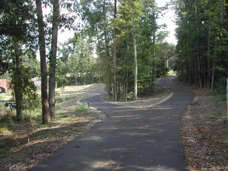 a very empty street by the woods on one side