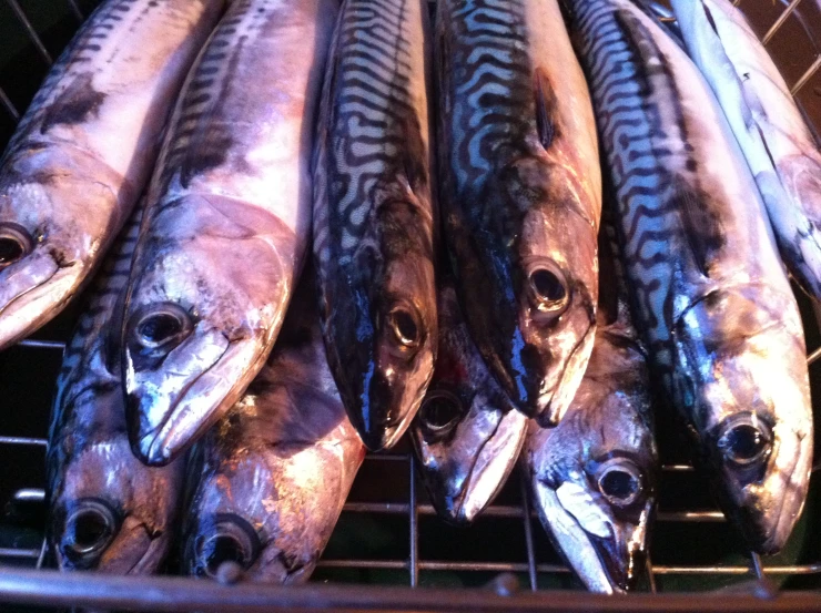 there are several fish on the grill next to each other