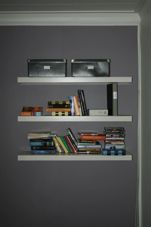 a wall with two shelving shelves with various books