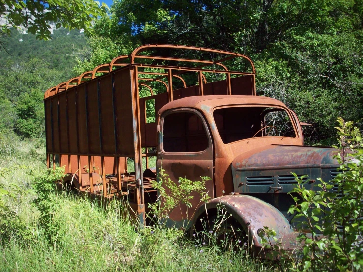 an old rusty truck in the woods with overgrown vegetation