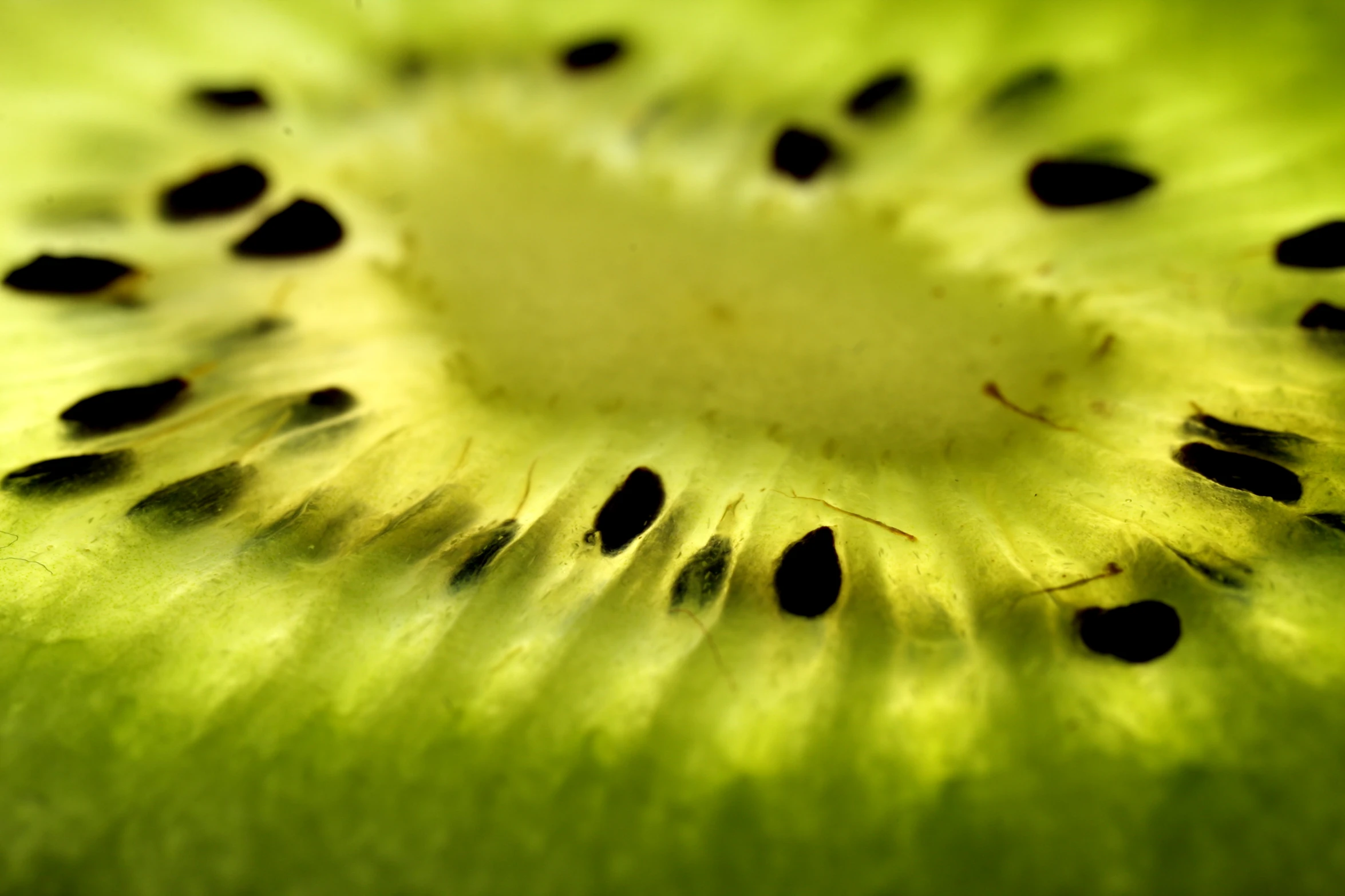 a close up image of a kiwi fruit