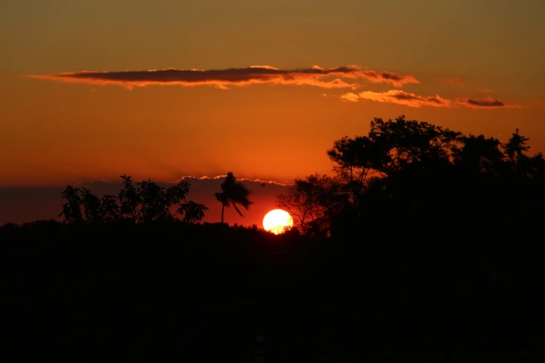 a red sky over a setting sun with palm trees