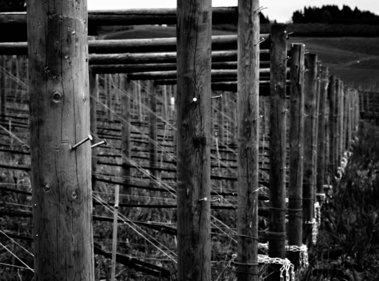 an old fence has some sticks sticking out of it