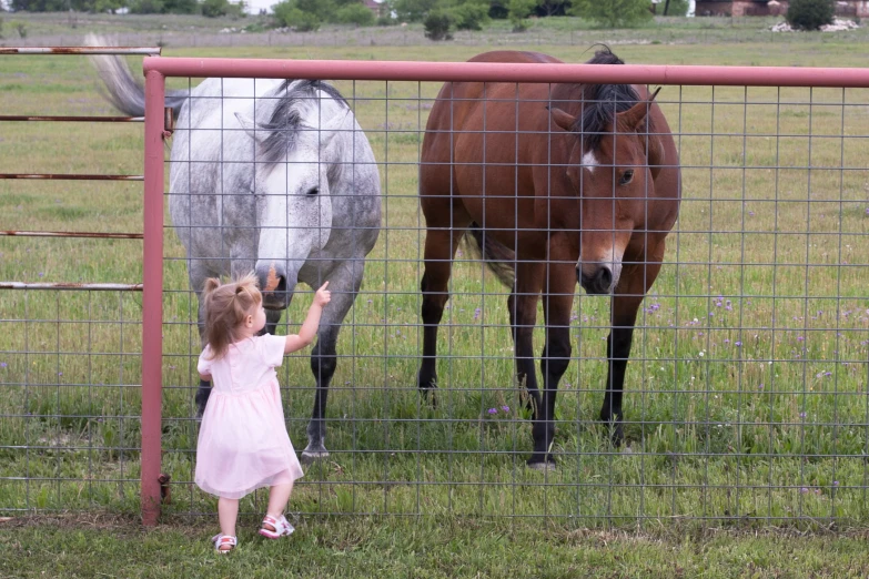 the little girl is pointing at two horses