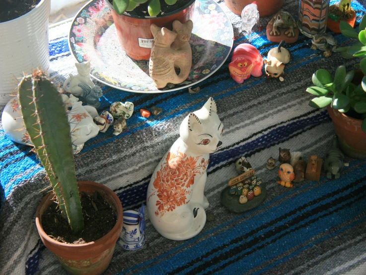 small cactus plants with succulents and decorative succulents around them on a table