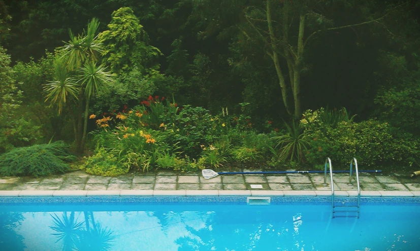 a swimming pool surrounded by greenery and a walkway