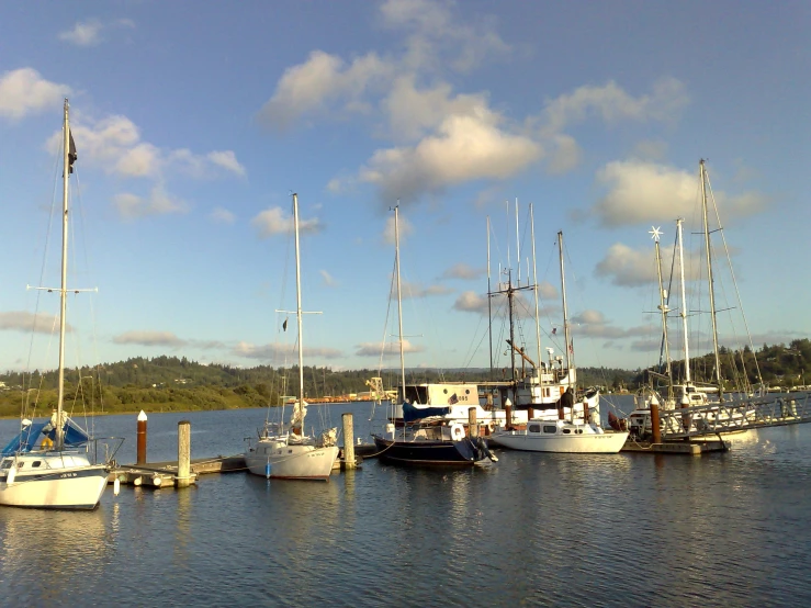 the boats in the water are moored together