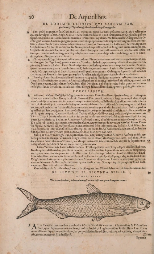 an old book with writing on it with fish