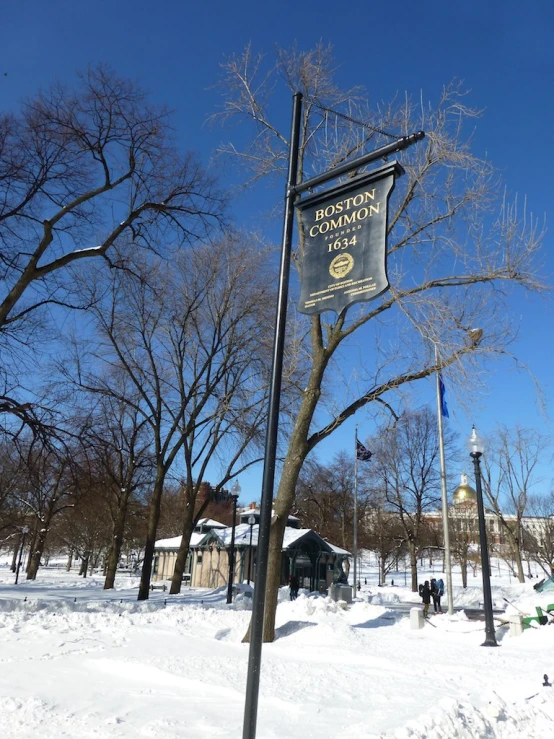 a street sign and flags in a snow covered park