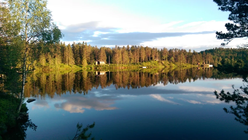 a large body of water surrounded by trees