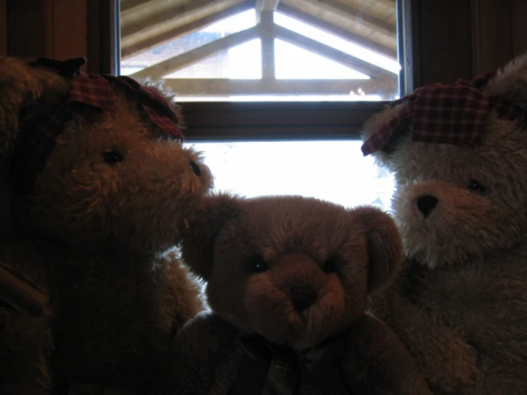 three teddy bears looking out of a window at a tree