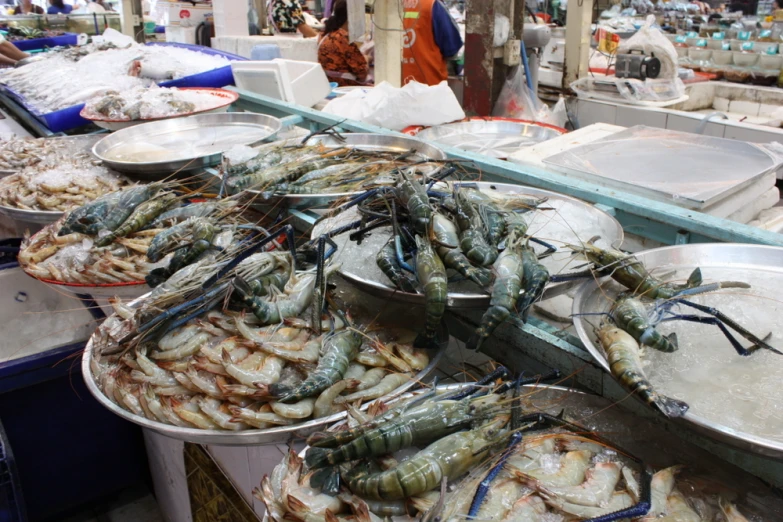 a display in a seafood market filled with shrimp and crayfish