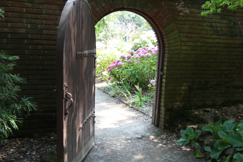 a doorway into a garden with purple flowers in the background