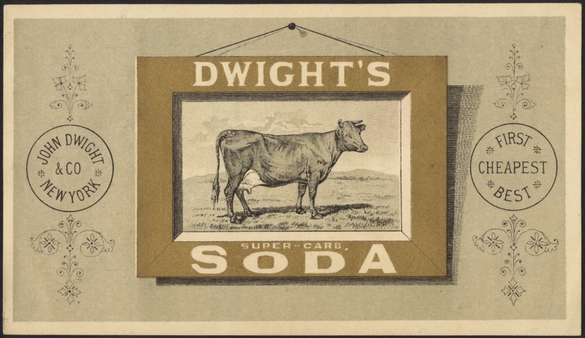 a vintage picture shows a cow in a picture frame