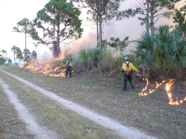 the firemen use a vehicle to battle a forest fire