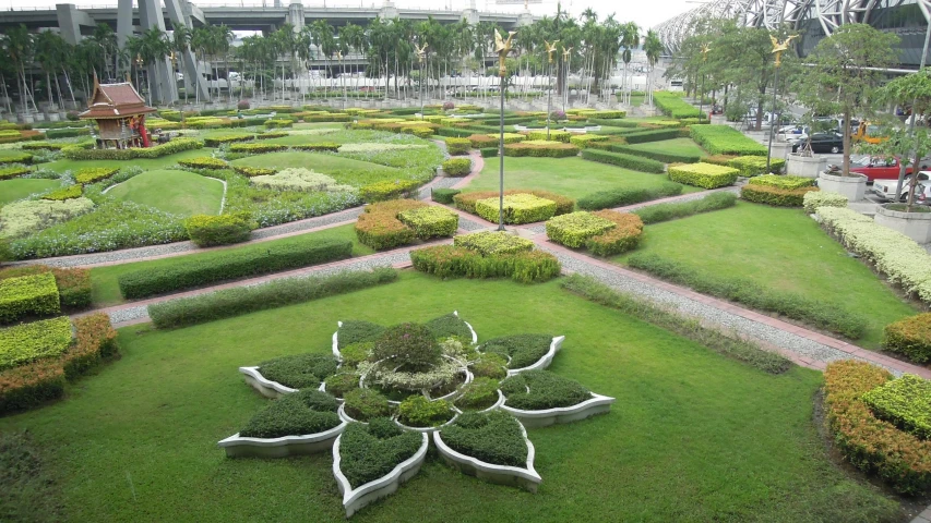 a view of a garden from above, with plants and flowers