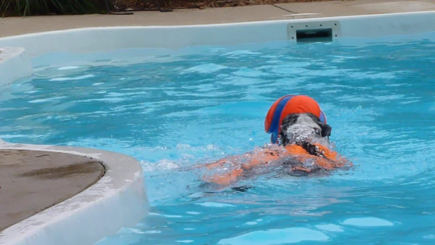 a person with life jackets is swimming in the pool