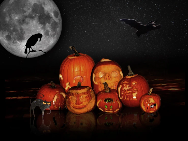 an assortment of carved pumpkins, with a cat and crow perched on them