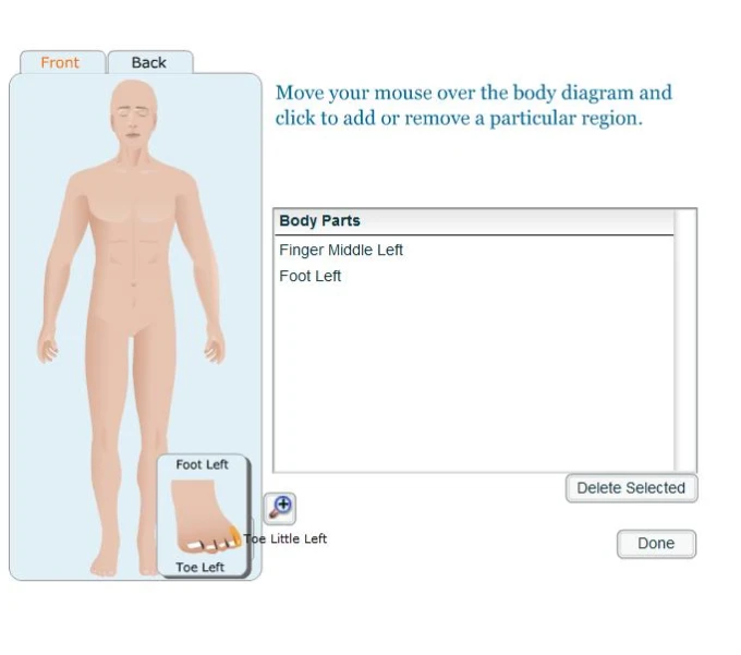 a website interface showing a body mannequin and text box