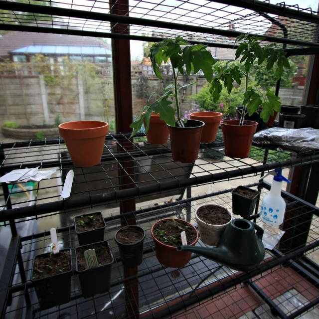 a lot of pots on shelves full of plants