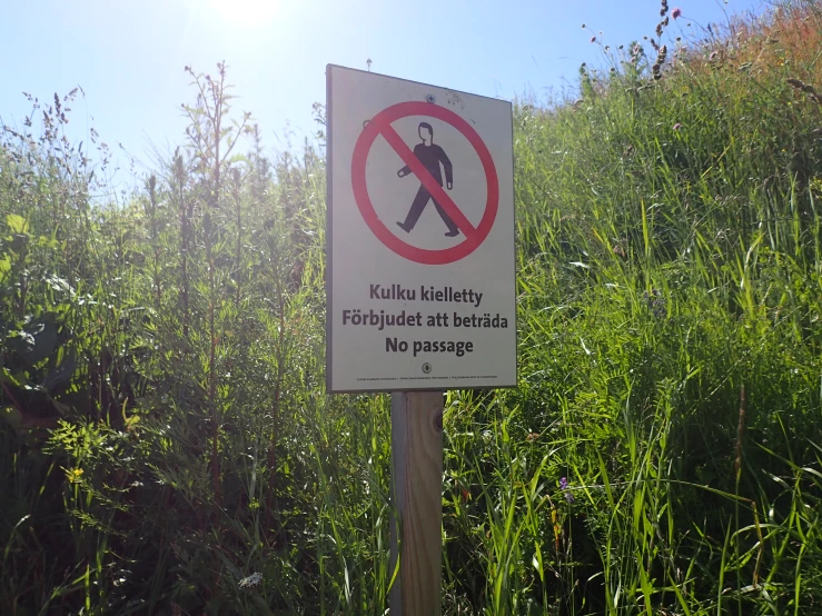 a sign prohibiting walking is placed in the grass