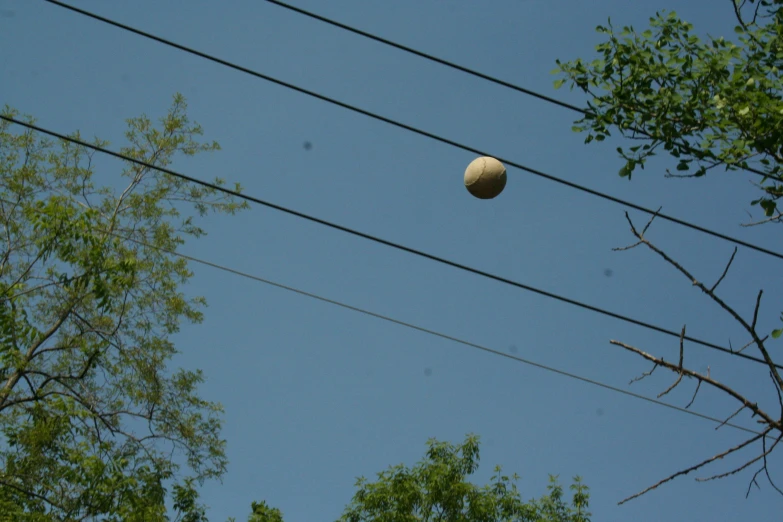 an upturned baseball sitting in the middle of power lines