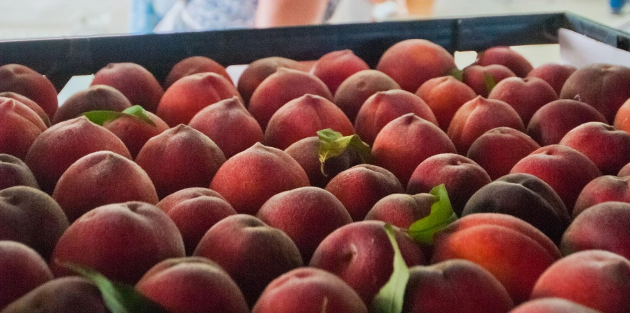 a table filled with lots of different kinds of peaches