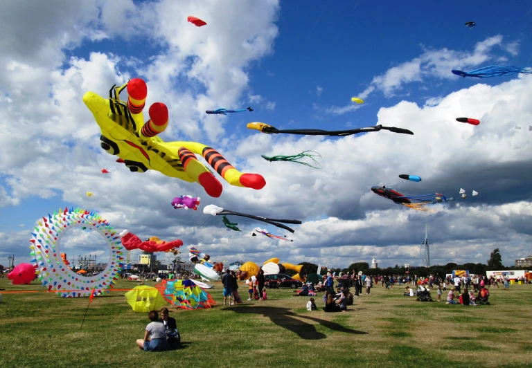 many people flying kites in the park under cloudy skies