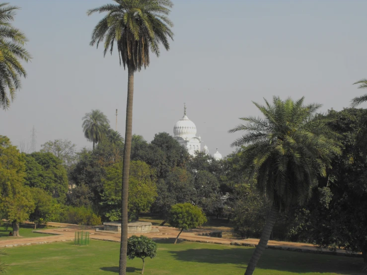 some trees grass bushes and a dome in the distance