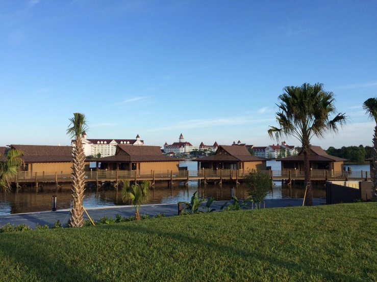 a wooden pier and some palm trees in the grass