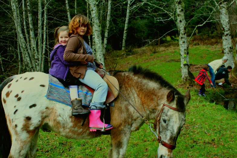 a woman sitting on the back of a horse next to a 