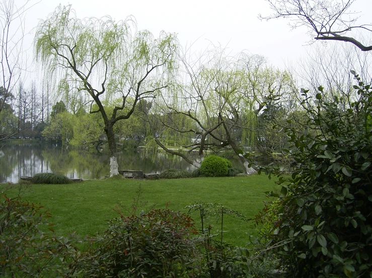 this is an image of a grassy field in front of the lake