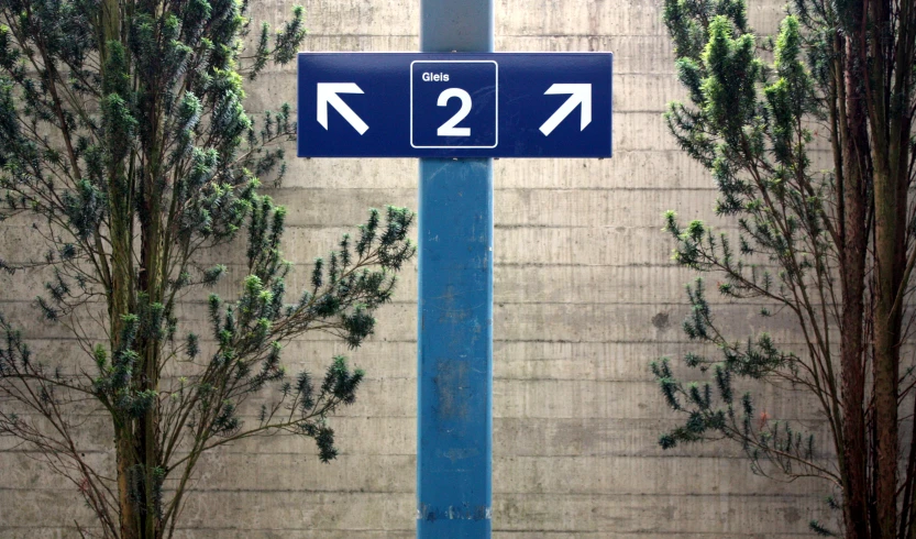 a street sign on a pole next to trees and a wall