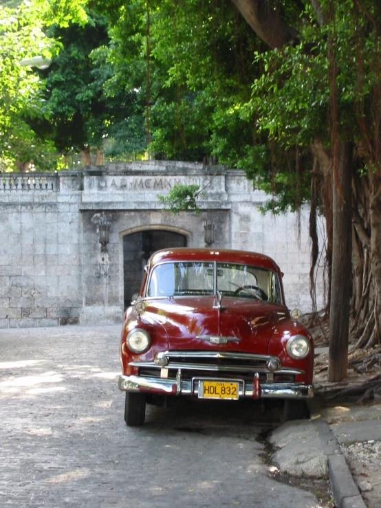 an old red car sits under a very large tree