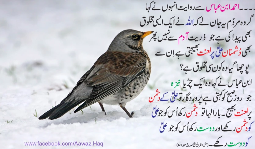 the poem written in several different languages features an image of a bird standing on snow