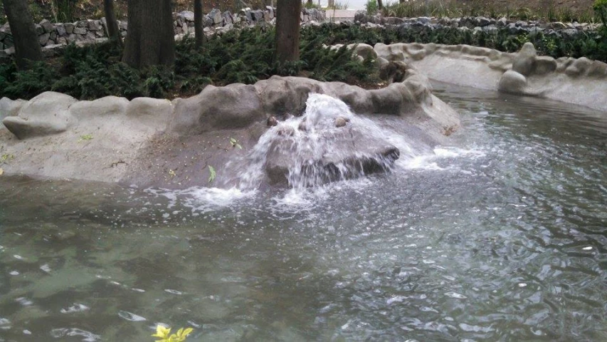 a water slide in a park setting next to trees