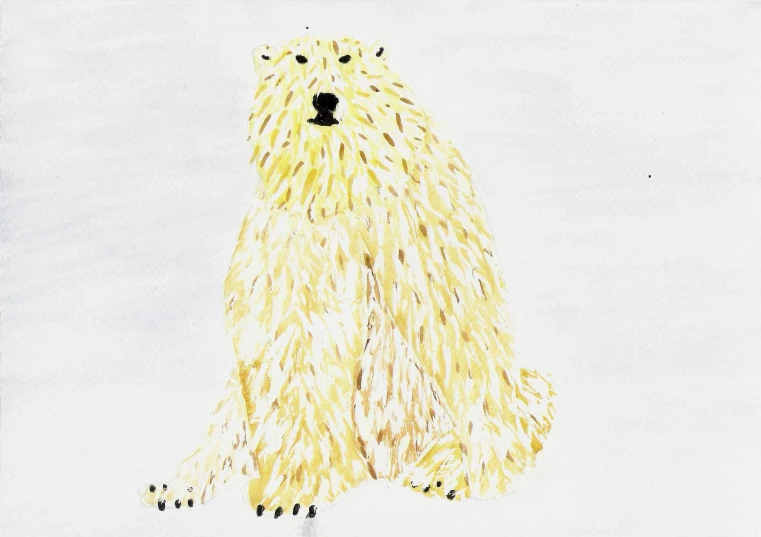 drawing of a bear standing in the snow