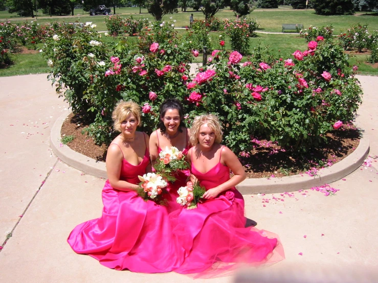 three woman in wedding dresses, sitting on a bench in the middle of rose bushes