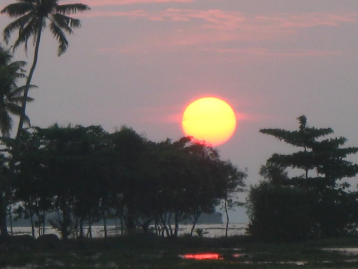 the sun is rising over a lush tropical scene