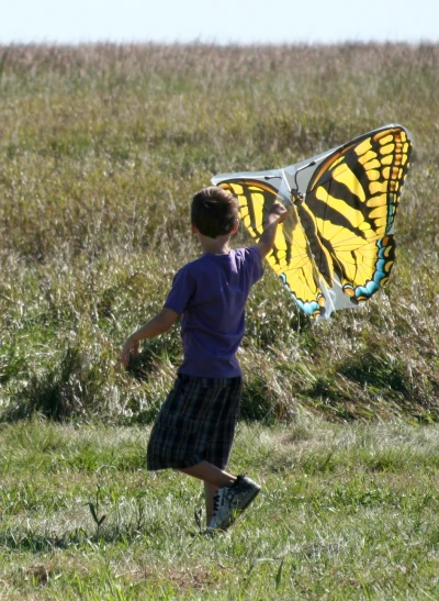 a child holding onto a erfly shaped kite