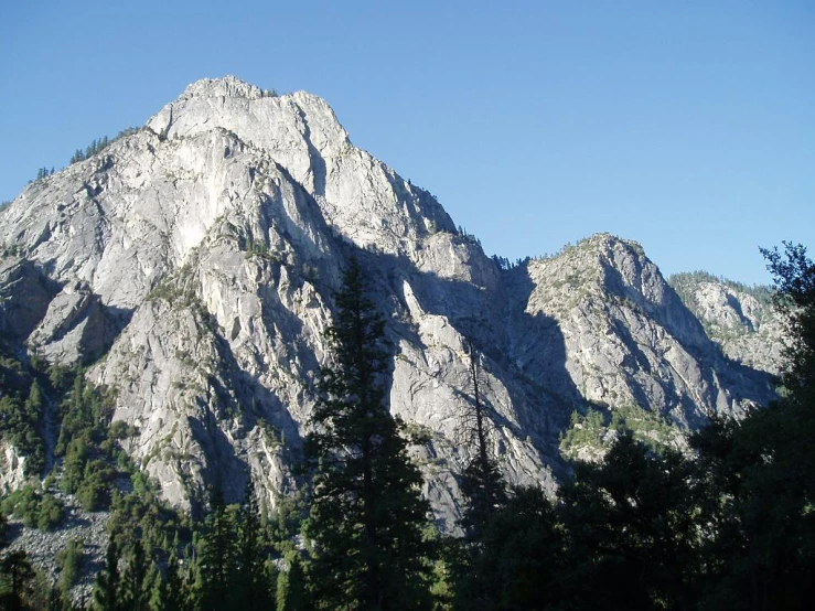 a large, white mountain surrounded by trees