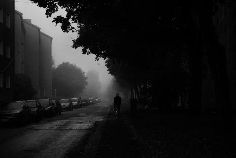 a dark road with cars parked on both sides