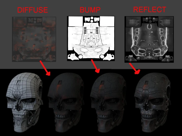 the process for the skulls to be reconstructed with different techniques