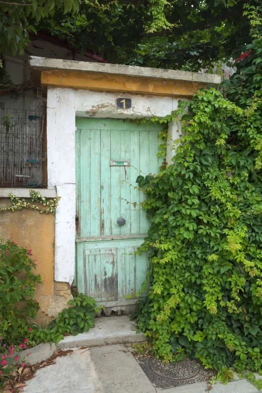 an old green door in a ivy covered home