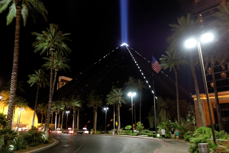 an empty street with lights and palm trees