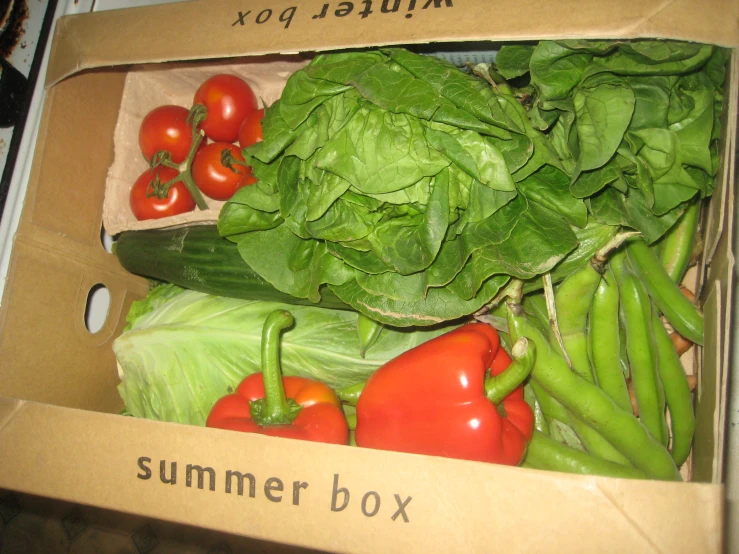 the box has many green vegetables in it