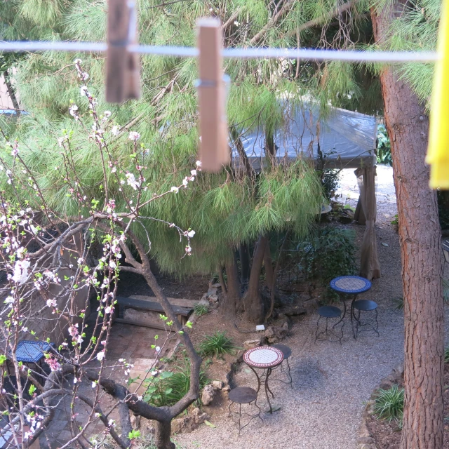 a view of a garden, from a window