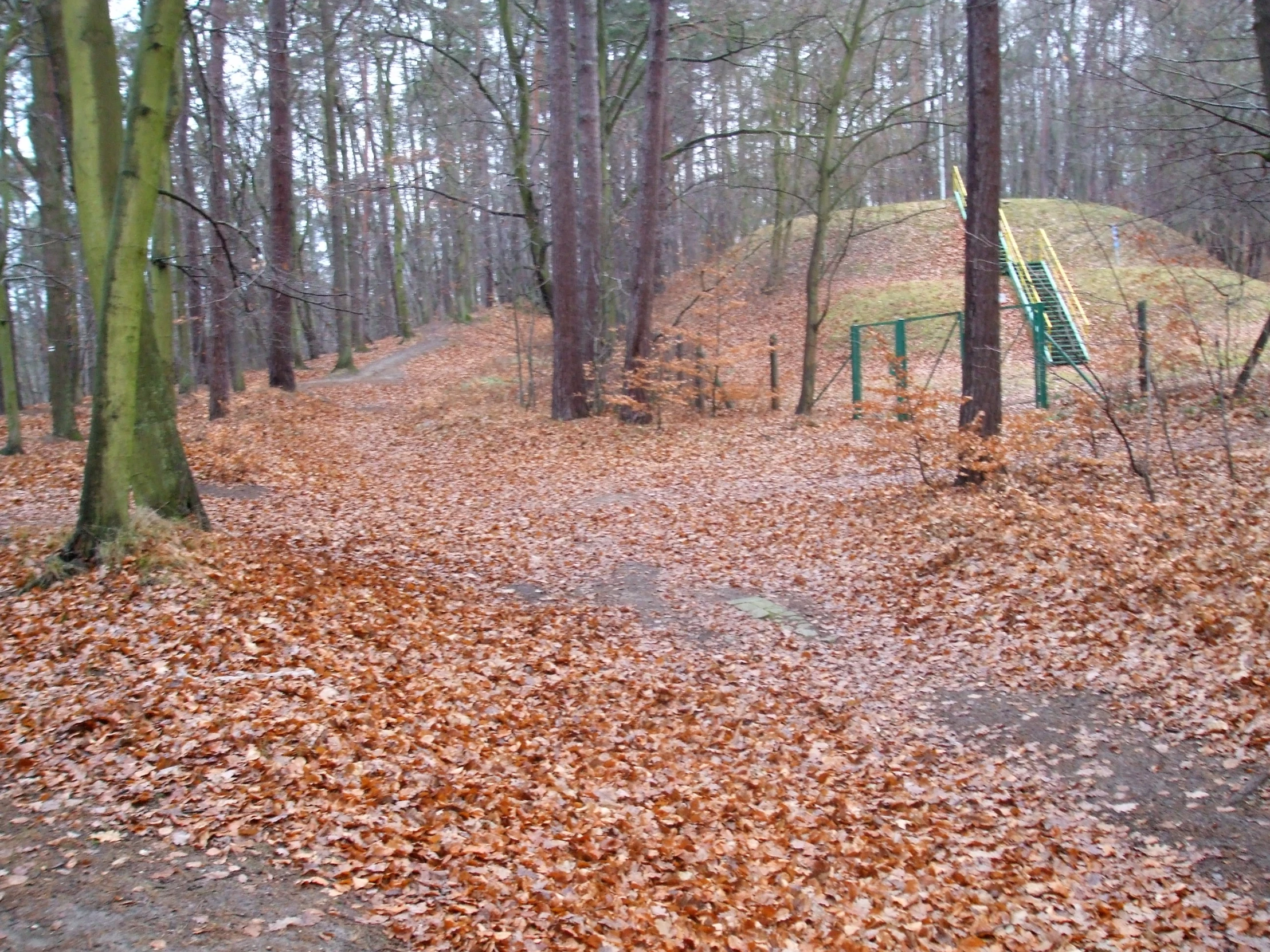 a path is surrounded by leaves and a green bench