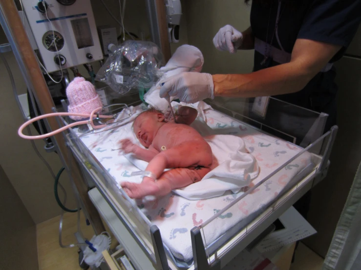 a doctor checking on a baby for heartworms